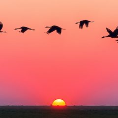 15 Beautiful LOVE quotes, Your partner will LOVE to hear!