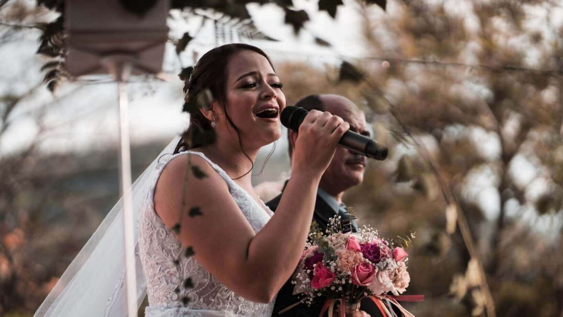 The Perfect Wedding Speech